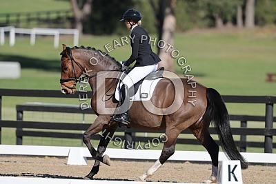 Shirley Heights Dressage August 1 2026