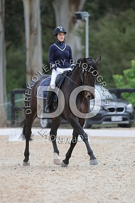 Shirley Heights Midweek Dressage Oct 14 2026